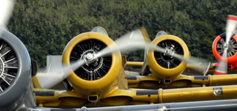 Classic Wings and Wheels