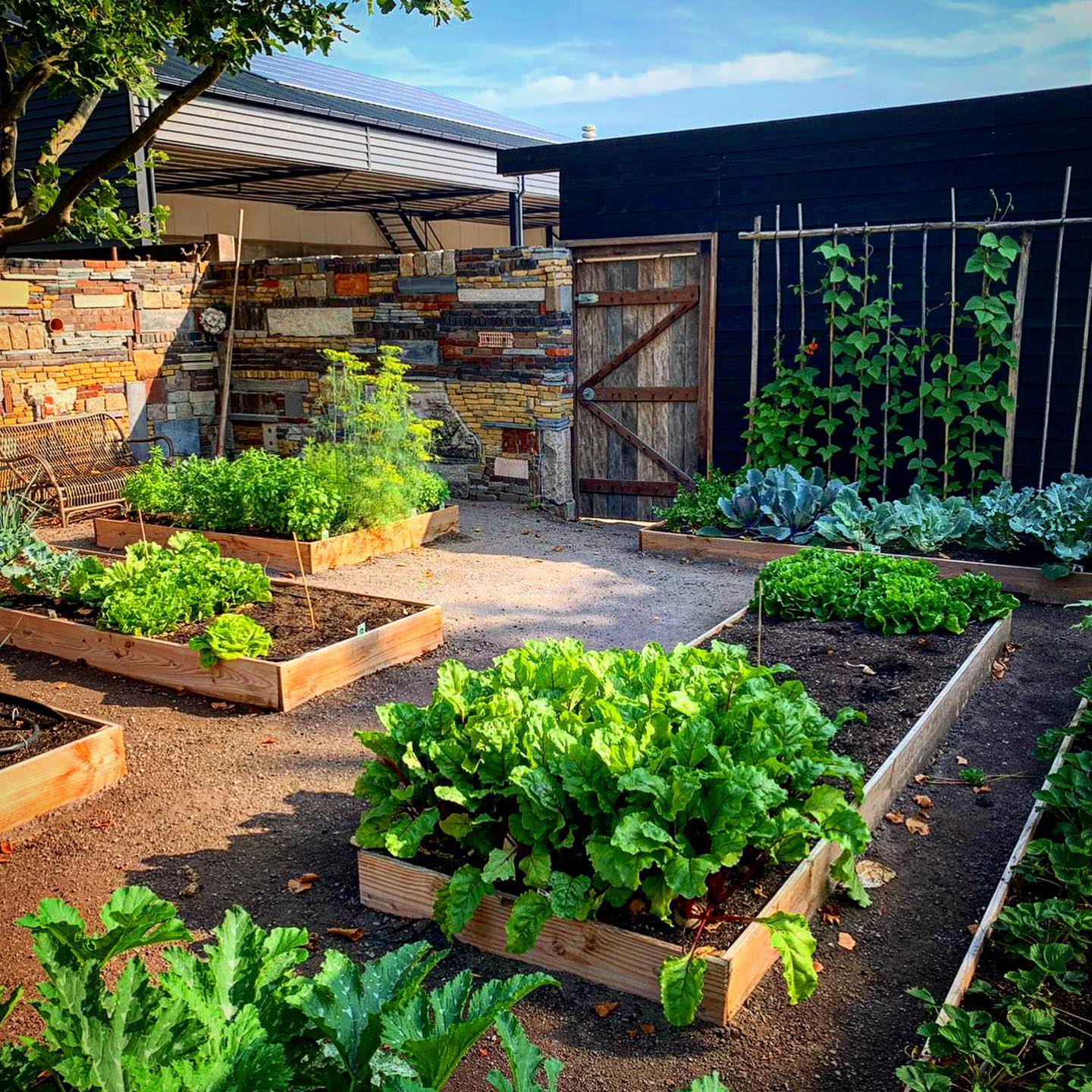 Aanleg moestuin